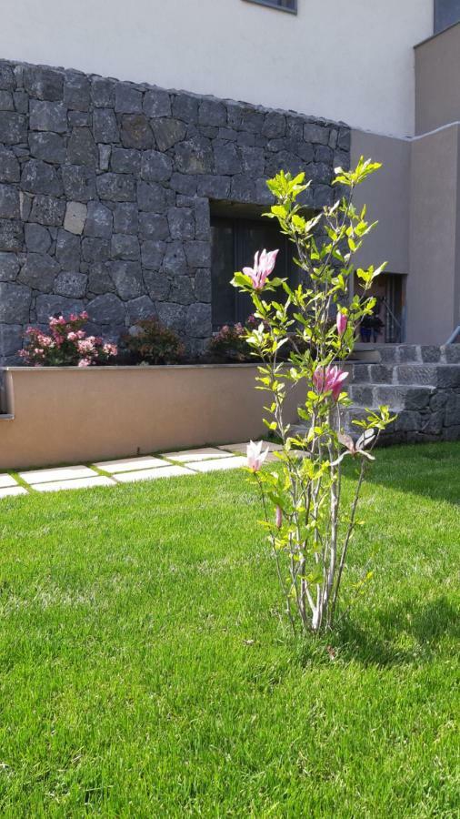 زافيرانا إتنيا Anna & Alfredo Bed And Breakfast المظهر الخارجي الصورة